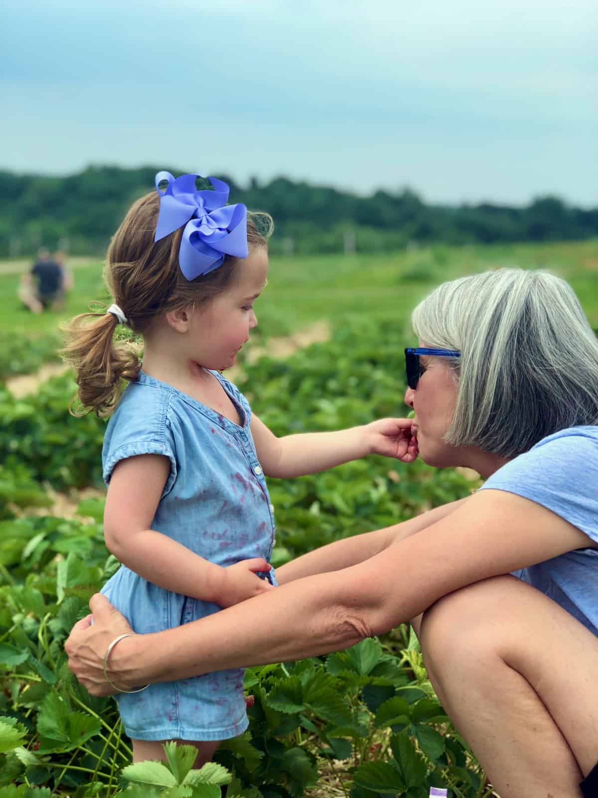 strawberry picking with my granddaughter