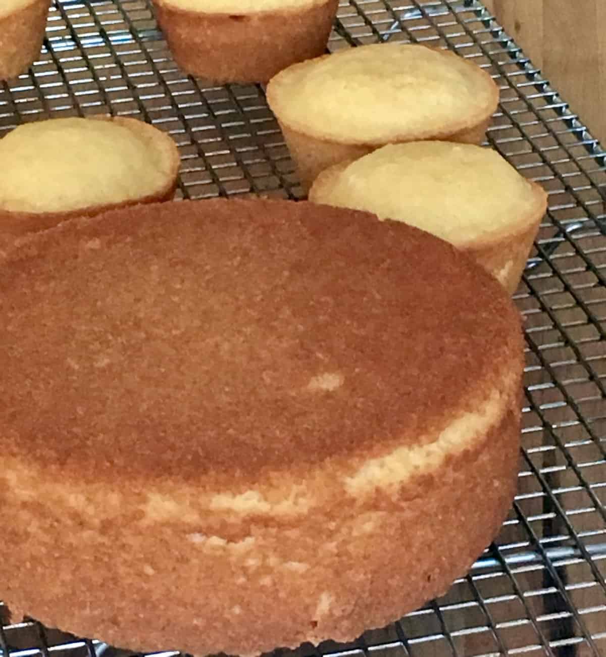 cake and cupcakes on cooling rack