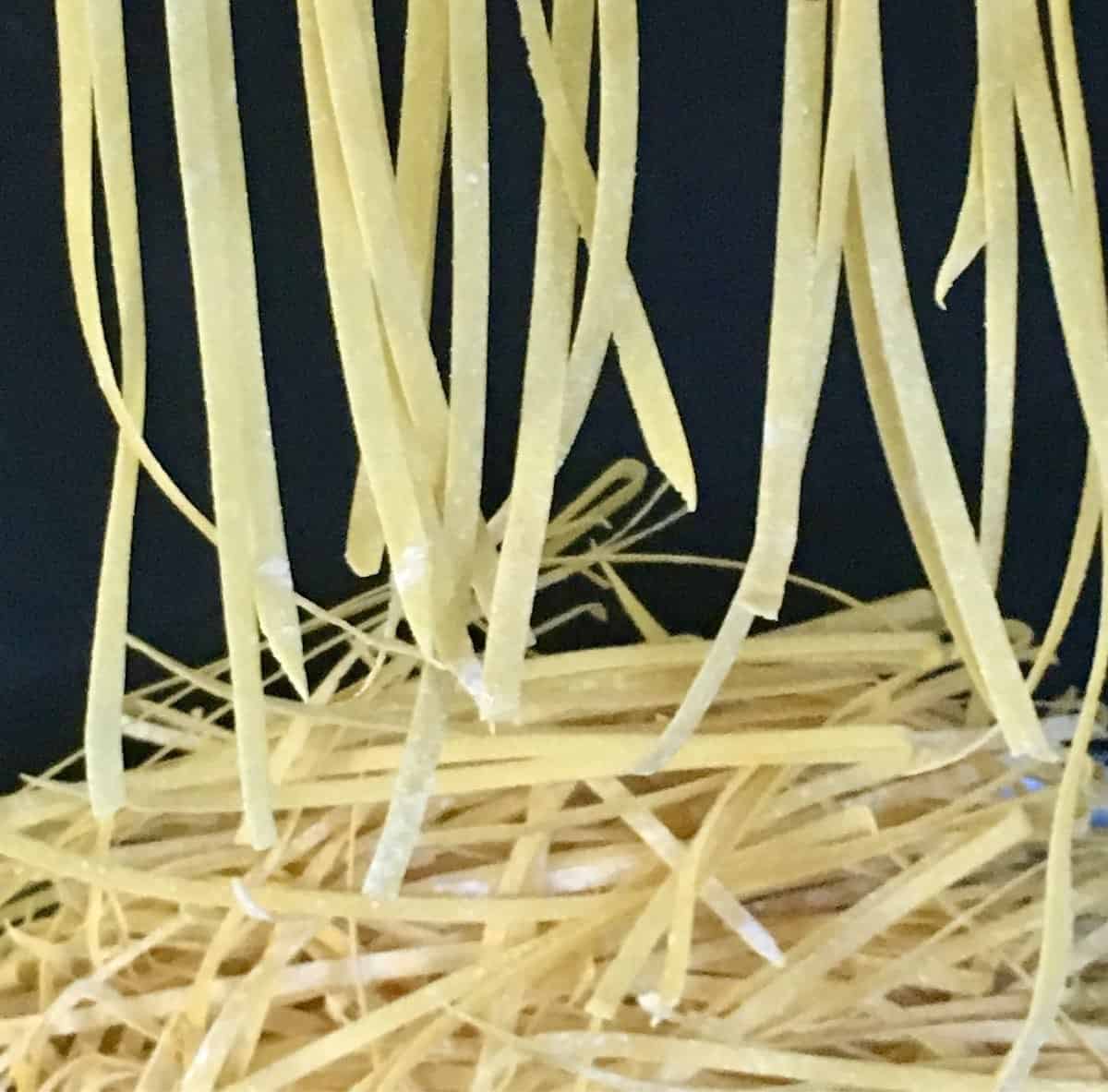 fresh cut pasta