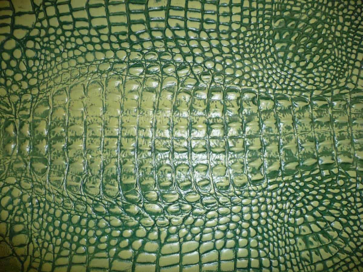 green alligator purse