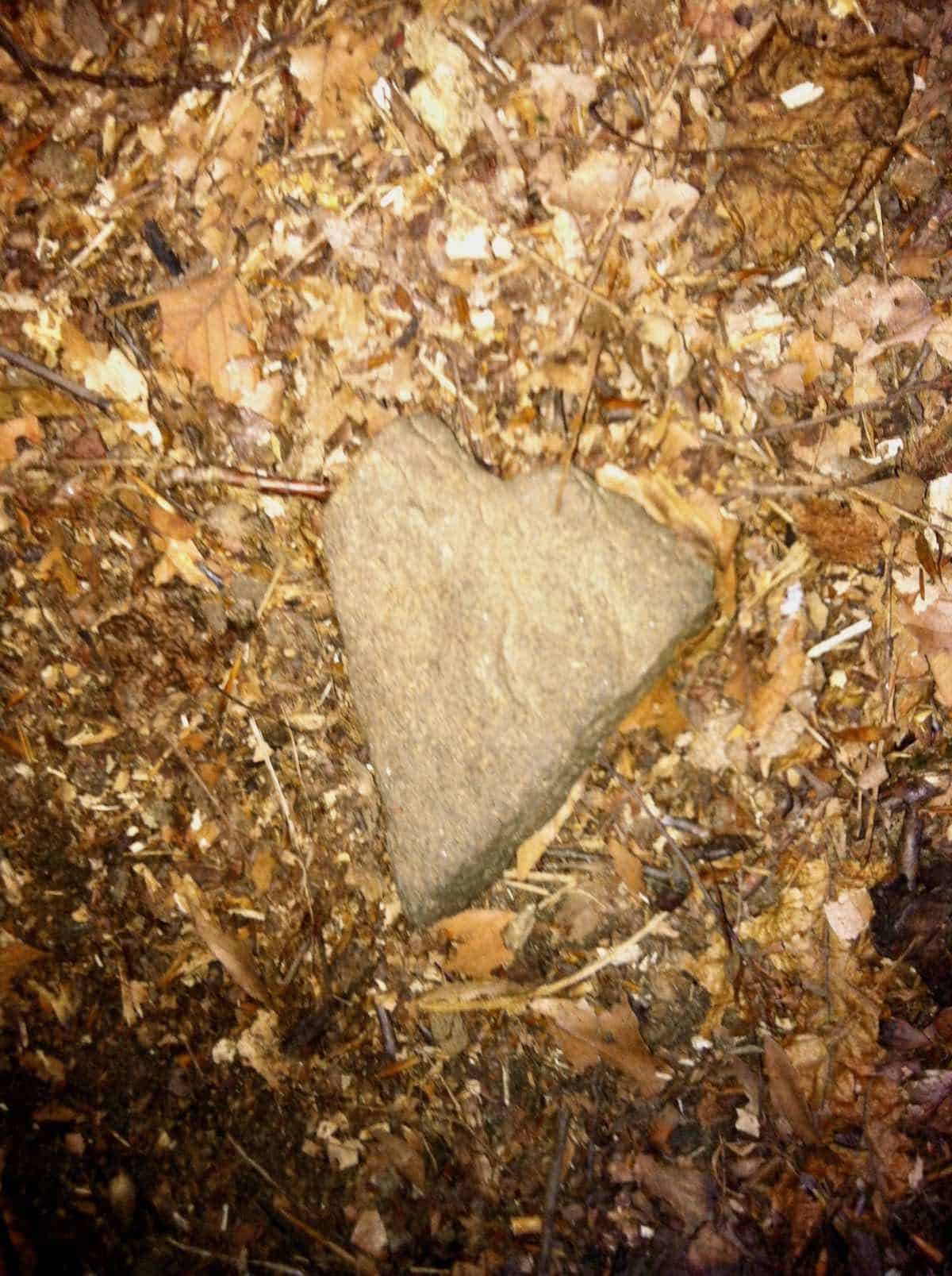 rock shaped like a heart a found gift