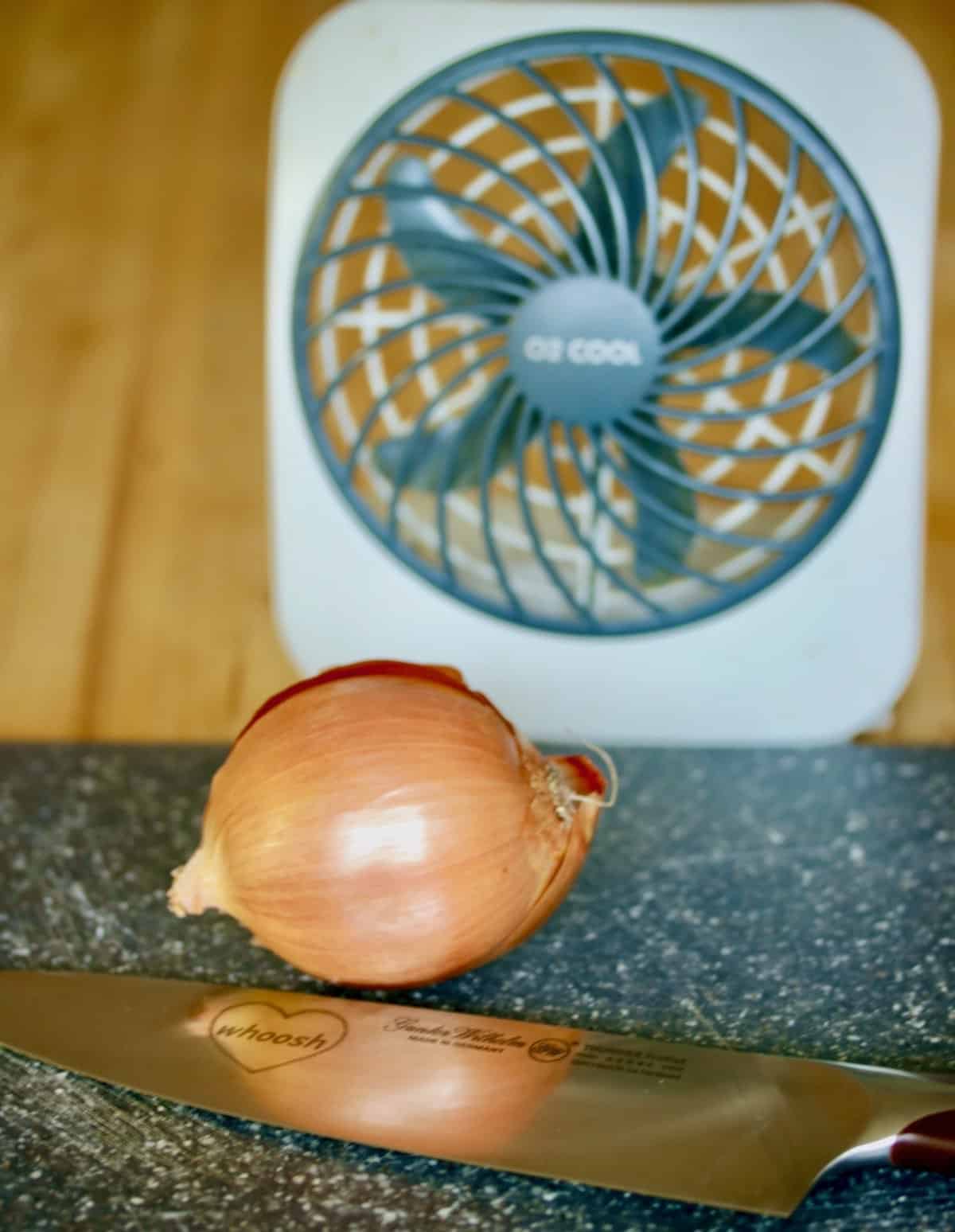 onion with fan and knife